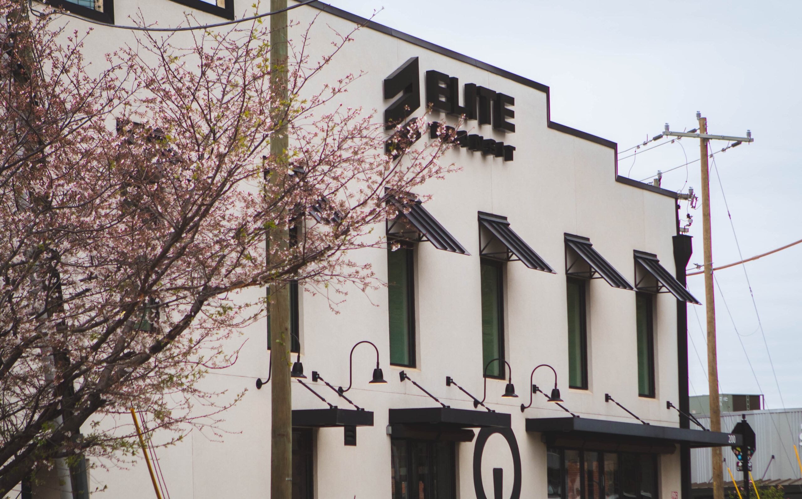 Outside image of pale building with black shutters framed by early spring budding pink tree and ELITE Transit Solutions exterior sign.